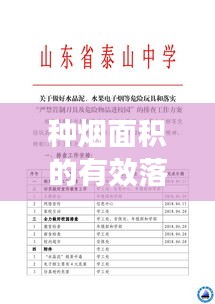 东张西望 第2页