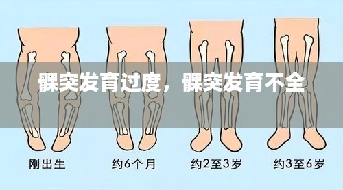 公司风采 第43页