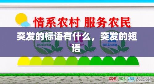 大雅君子 第2页