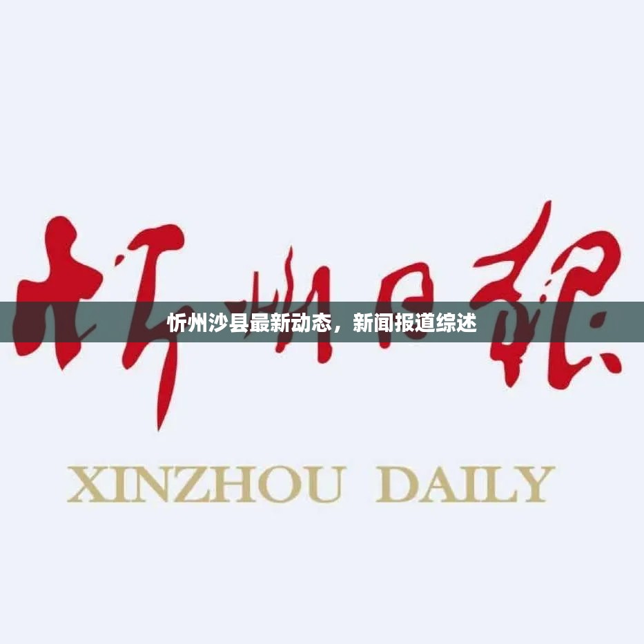 忻州沙县最新动态，新闻报道综述