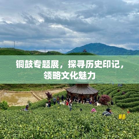 铜鼓专题展，探寻历史印记，领略文化魅力