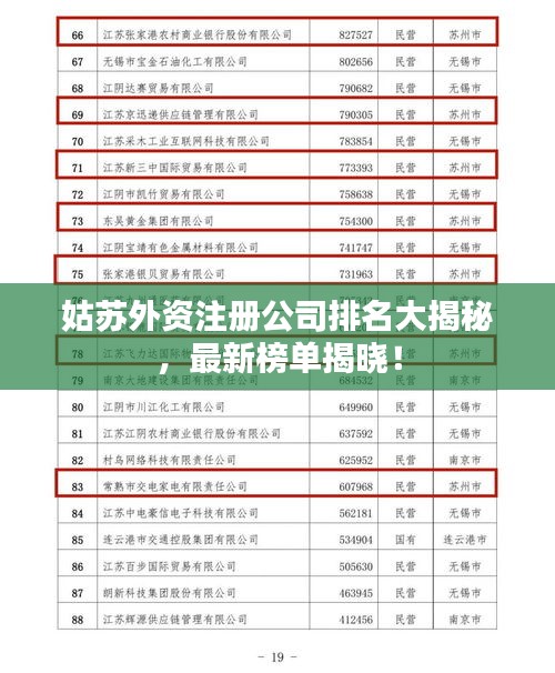 姑苏外资注册公司排名大揭秘，最新榜单揭晓！