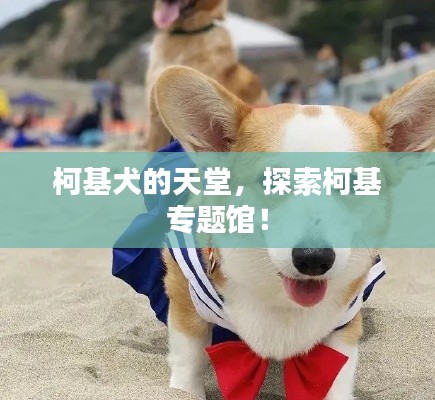 半新不旧 第2页