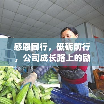 感恩同行，砥砺前行，公司成长路上的励志之旅