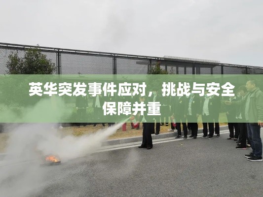 公司新闻 第23页