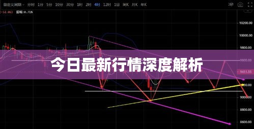 今日最新行情深度解析