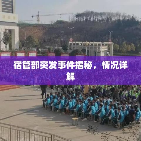 宿管部突发事件揭秘，情况详解