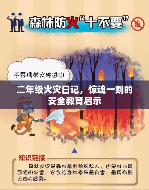 第244页