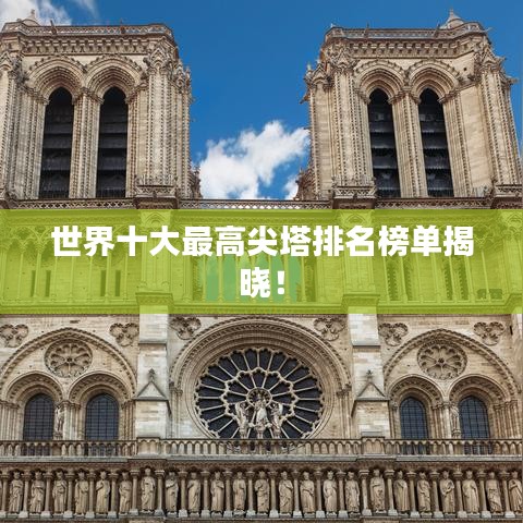公司新闻 第19页