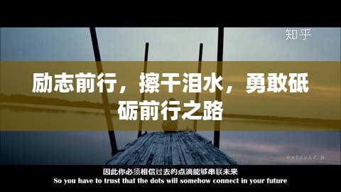 公司新闻 第17页