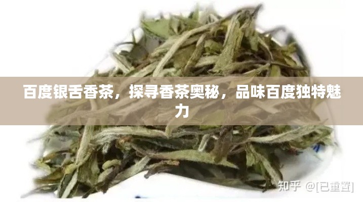公司新闻 第16页