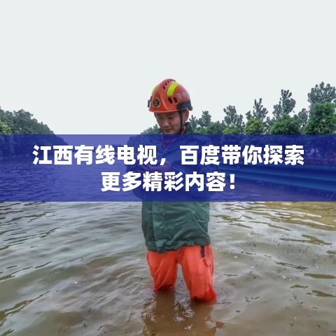 公司新闻 第15页