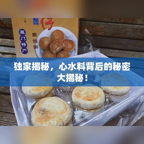 公司新闻 第14页