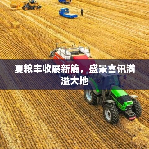 夏粮丰收展新篇，盛景喜讯满溢大地
