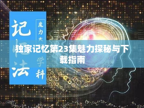 夫荣妻贵