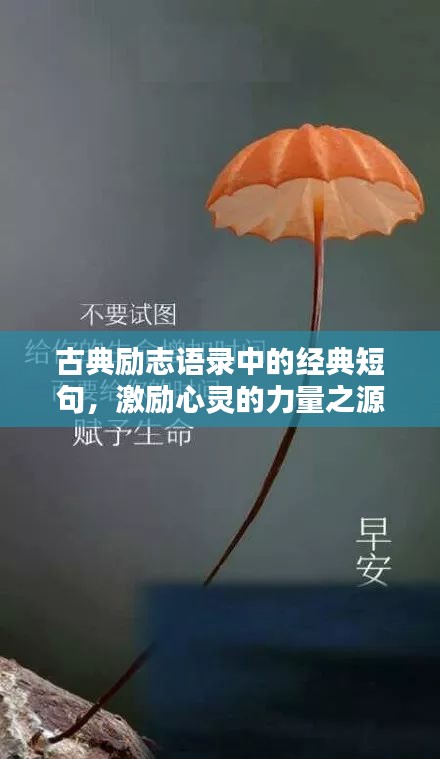 古典励志语录中的经典短句，激励心灵的力量之源