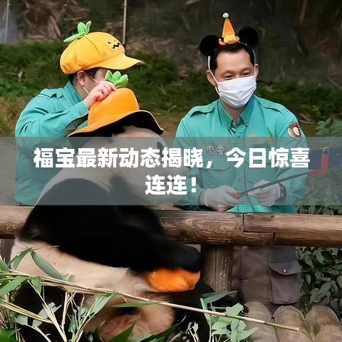 张皇无措