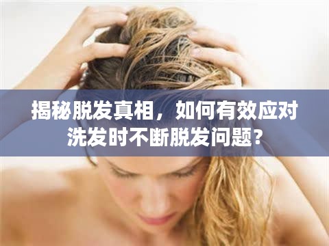 萍水相逢