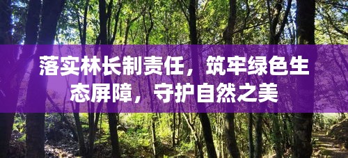 落实林长制责任，筑牢绿色生态屏障，守护自然之美