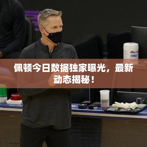 佩顿今日数据独家曝光，最新动态揭秘！