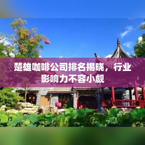 楚雄咖啡公司排名揭晓，行业影响力不容小觑