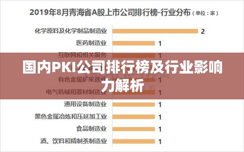 国内PKI公司排行榜及行业影响力解析