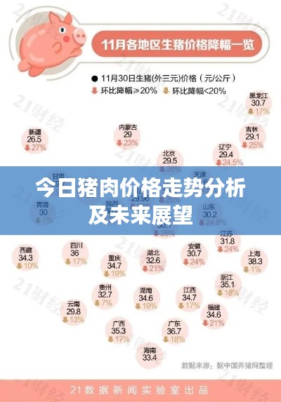公司简介 第14页