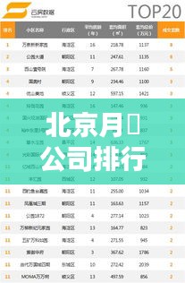 北京月膄公司排行榜及行业影响力深度解析
