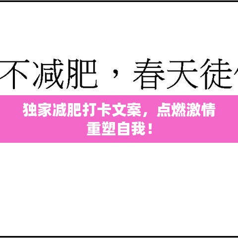 公司新闻 第3页