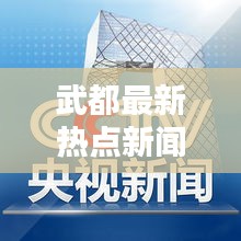 武都最新热点新闻速递