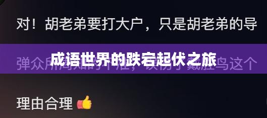 成语世界的跌宕起伏之旅