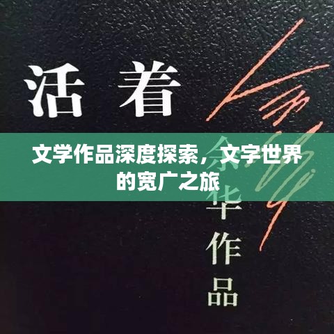 文学作品深度探索，文字世界的宽广之旅