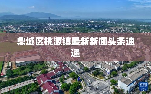鼎城区桃源镇最新新闻头条速递