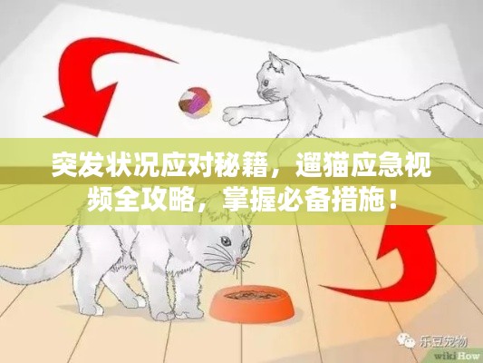 2025年5月19日
