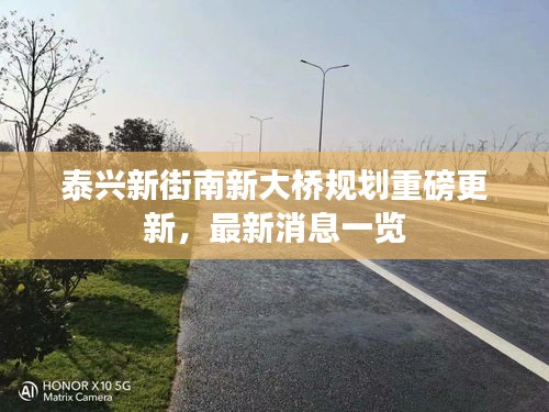 泰兴新街南新大桥规划重磅更新，最新消息一览