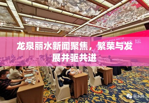 龙泉丽水新闻聚焦，繁荣与发展并驱共进