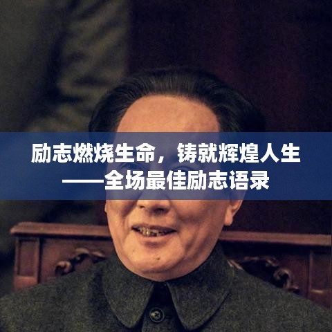 2025年6月11日